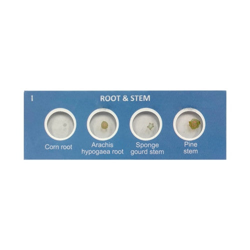 HamiltonBuhl Scout Prepared Specimen Slides Set